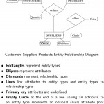 2. Conceptual Modeling Using The Entity Relationship Model