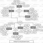 Activity Management System Er Diagram | Freeprojectz