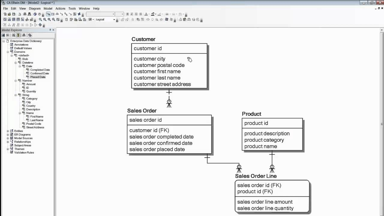 Ca Erwin Data Modeler: Soup To Nuts Demo