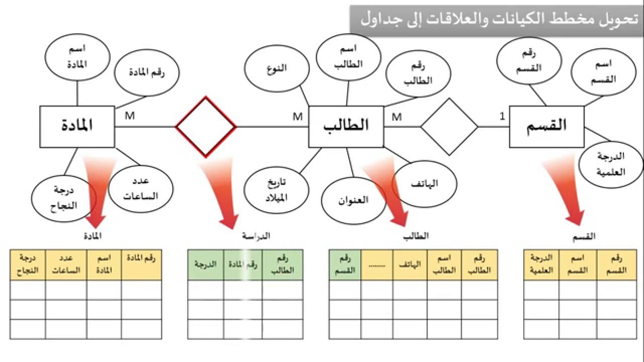 الدرس السادس : بناء مخطط الكيانات والعلاقات Entity Relationship Diagram