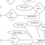 Database Entity Relationship Diagram The Design Of The