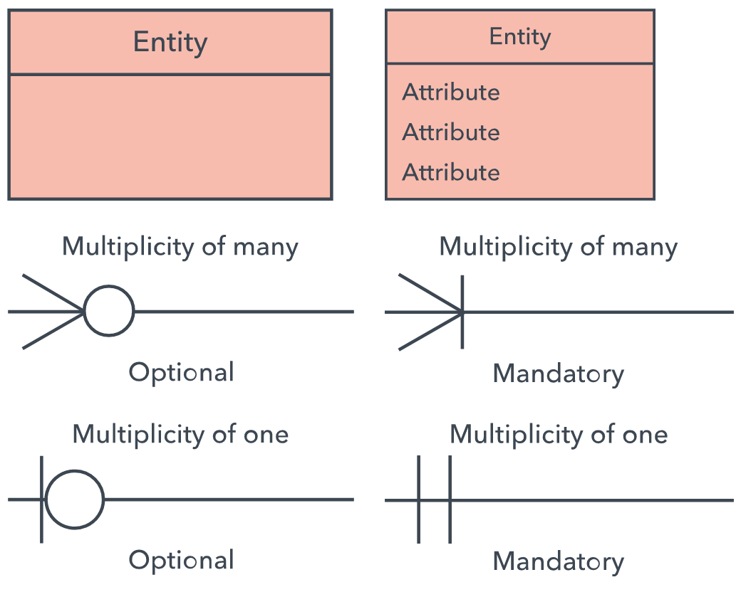 ER Diagram Notation