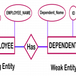 Entity Relationship (Er) Model   Library & Information