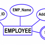 Entity Relationship (Er) Model   Library & Information