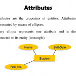 Entity Relationship Model   Ppt Download