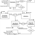 Entity: Relationship Model; The Veterinary Electronic