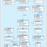 Er Diagrams And Databases – Moltomonaco