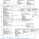 Oracle Erp Er Diagrams | Triniti