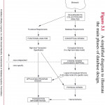 Use A High Level Conceptual Data Model (Er Model). Identify