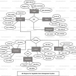 Vegitable Store Management System Er Diagram | Freeprojectz