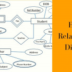 What Is Entity Relationship Diagram || Types Of Entities