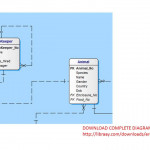 Central Zoo Erd Solution