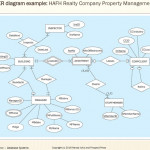 Chapter 2   Database Requirements And Er Modeling   Ppt Download