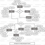 College Management System Er Diagram | Freeprojectz