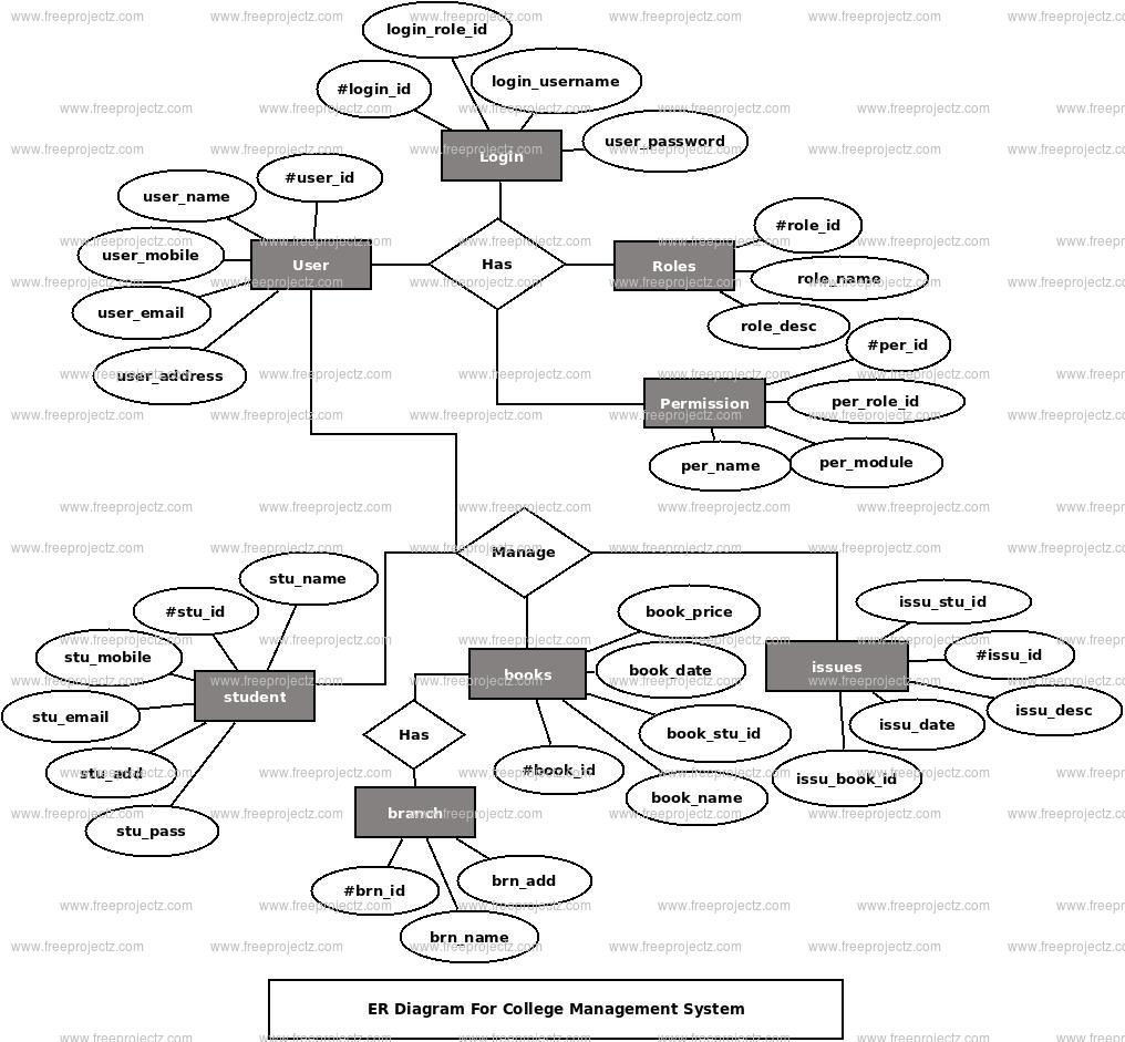 College Management System Er Diagram | Freeprojectz