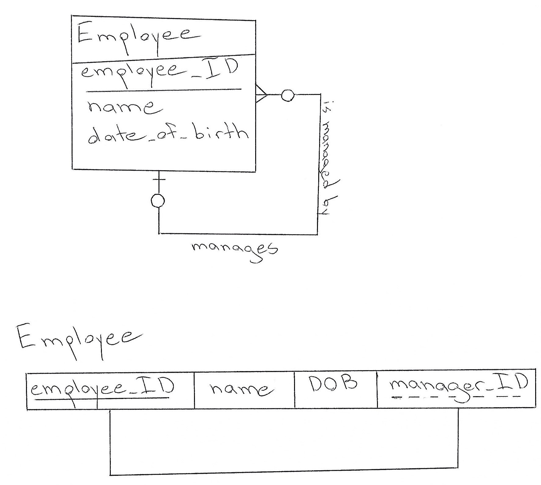 Database Design: How To Design A Database