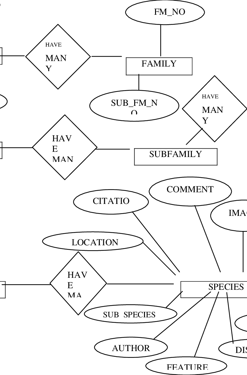 Database Entity Relationship Diagram The Design Of The