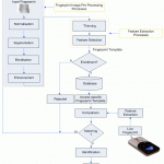 Development Of Fingerprint Biometrics Verification And