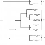 Diagram] Er Diagram For Zoo Management System Full Version