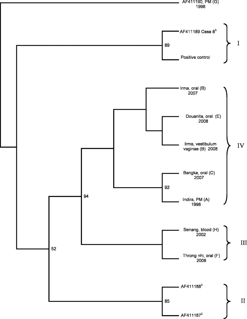 Diagram] Er Diagram For Zoo Management System Full Version