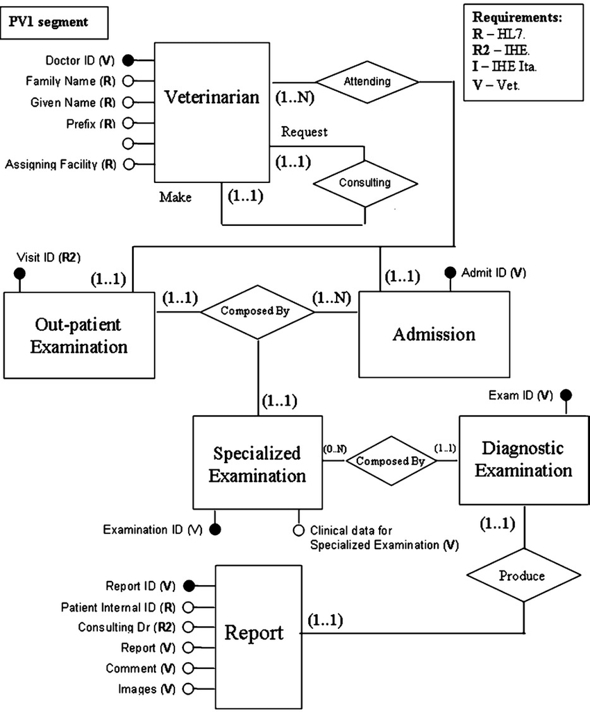 Entity: Relationship Model; The Veterinary Electronic