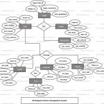 Finance Management System Er Diagram | Freeprojectz