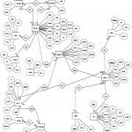 General Er Diagram (Generated Through Erd Plus) | Download