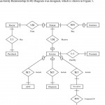 Healthcare Management System Database Project. Cis 9340