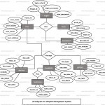 Hospital Management System Er Diagram | Freeprojectz