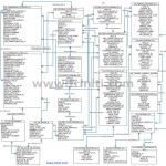 Oracle Incentive Compensation Er Diagram | Triniti