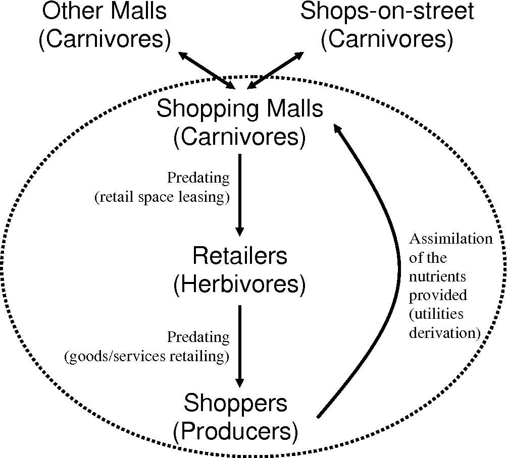 Pdf] An Ecological Framework For The Strategic Positioning