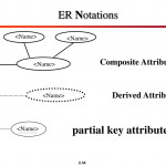 Ppt   Chapter 3 Data Modeling Using The Entity Relationship