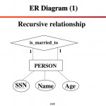 Ppt   Chapter 3 Data Modeling Using The Entity Relationship