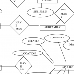 The Design Of The Database Based On The Entity Relationship