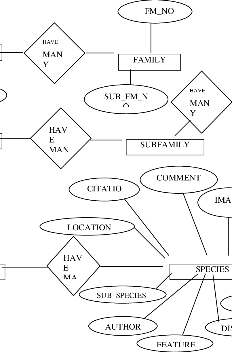 The Design Of The Database Based On The Entity Relationship