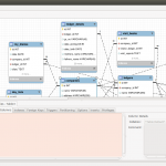 The Eer Diagram Editor Is Not Displaying Column Data And