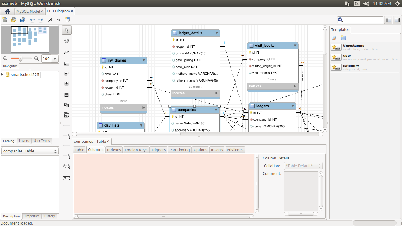 The Eer Diagram Editor Is Not Displaying Column Data And