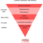 Agriculture Free Full Text Advances In Integrating