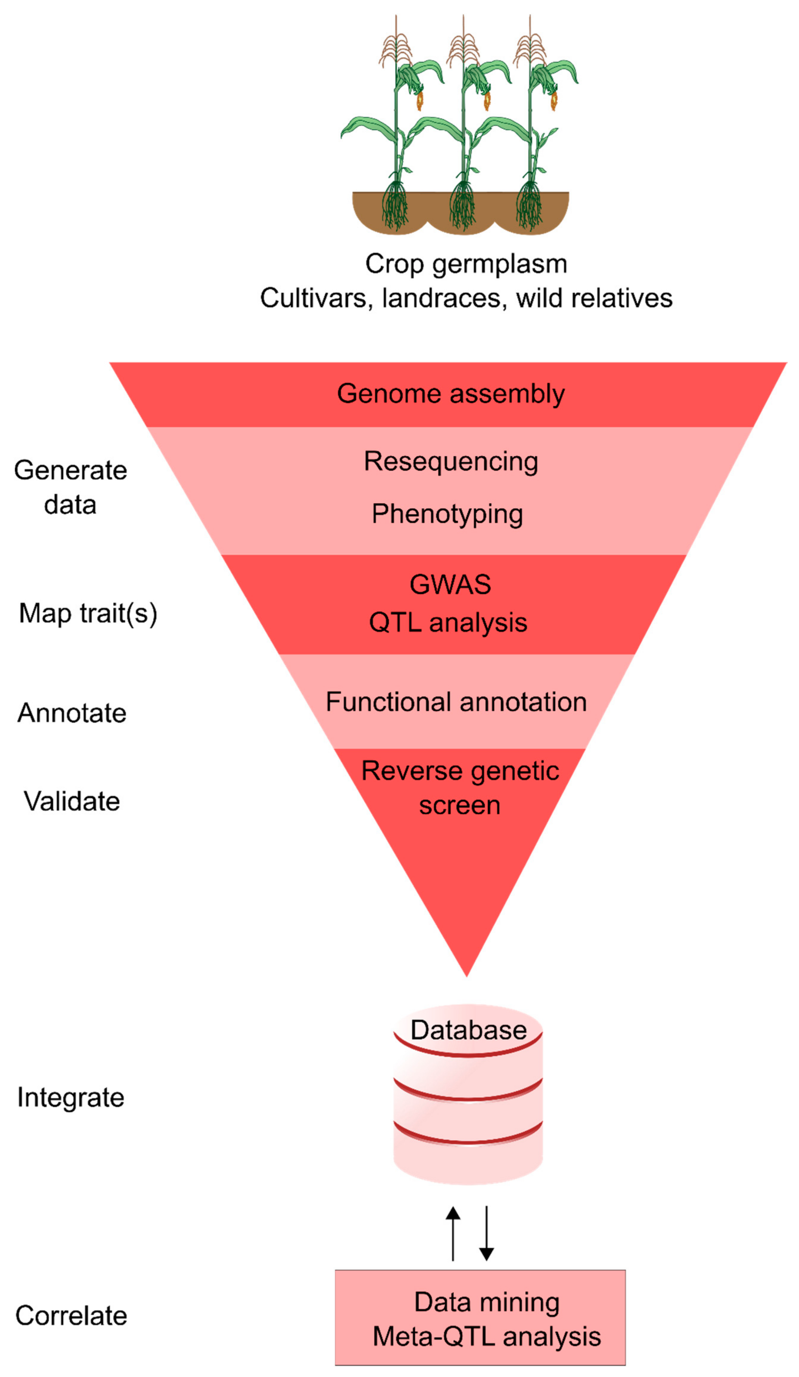 Agriculture Free Full Text Advances In Integrating 