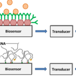 Biosensors Free Full Text Current And Prospective