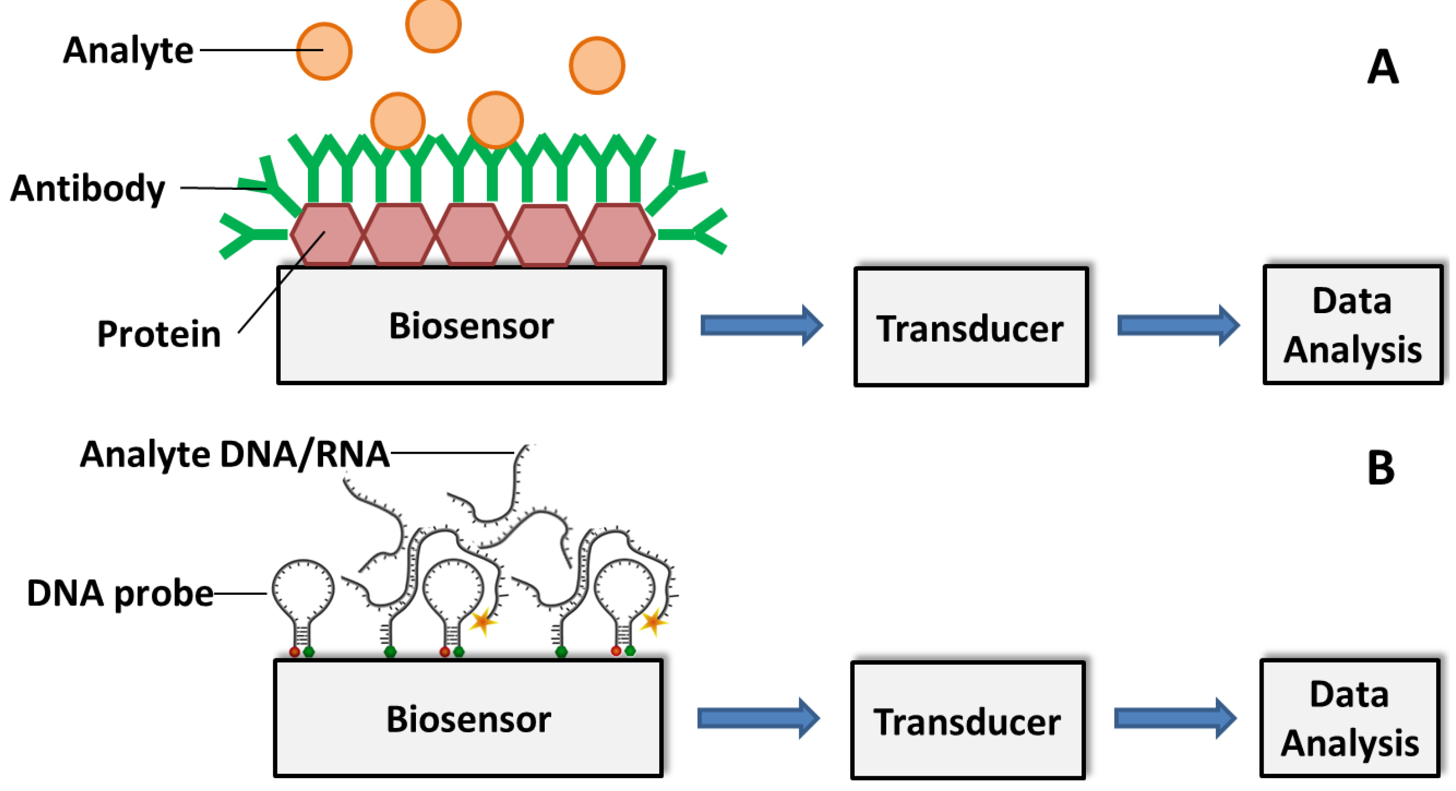 Biosensors Free Full Text Current And Prospective 