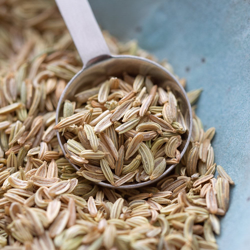 Bulk Fennel Seed 25 Lbs Low Prices At WebstaurantStore