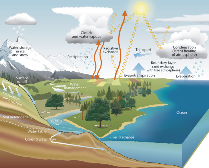 ER Diagram For WatER Supply Management System