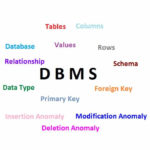 Database Management System Basics YouTube