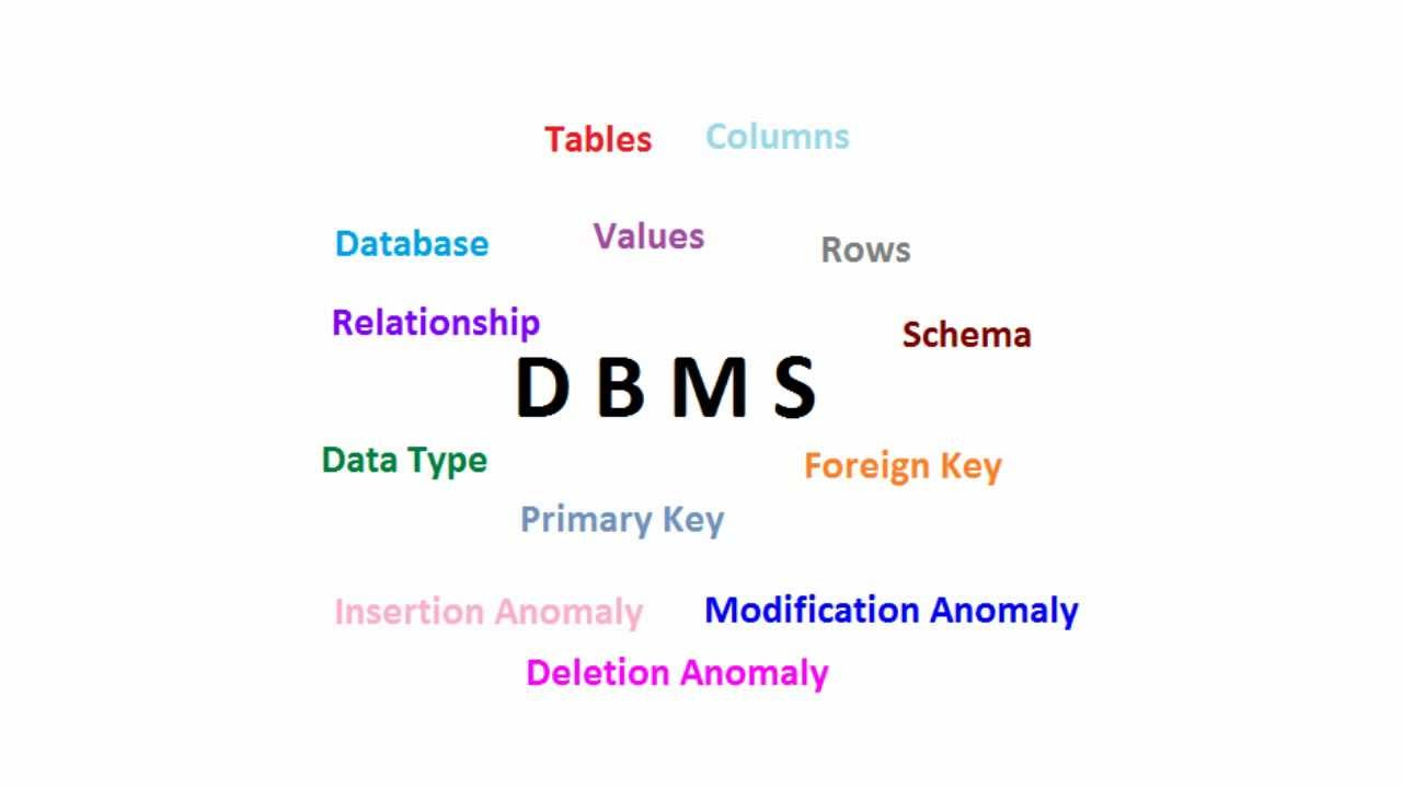 Database Management System Basics YouTube