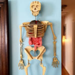 Drawing The Human Body For Kids Human Skeleton For Kids