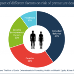 Healthcare Pie Chart Becca Social Christensen Institute