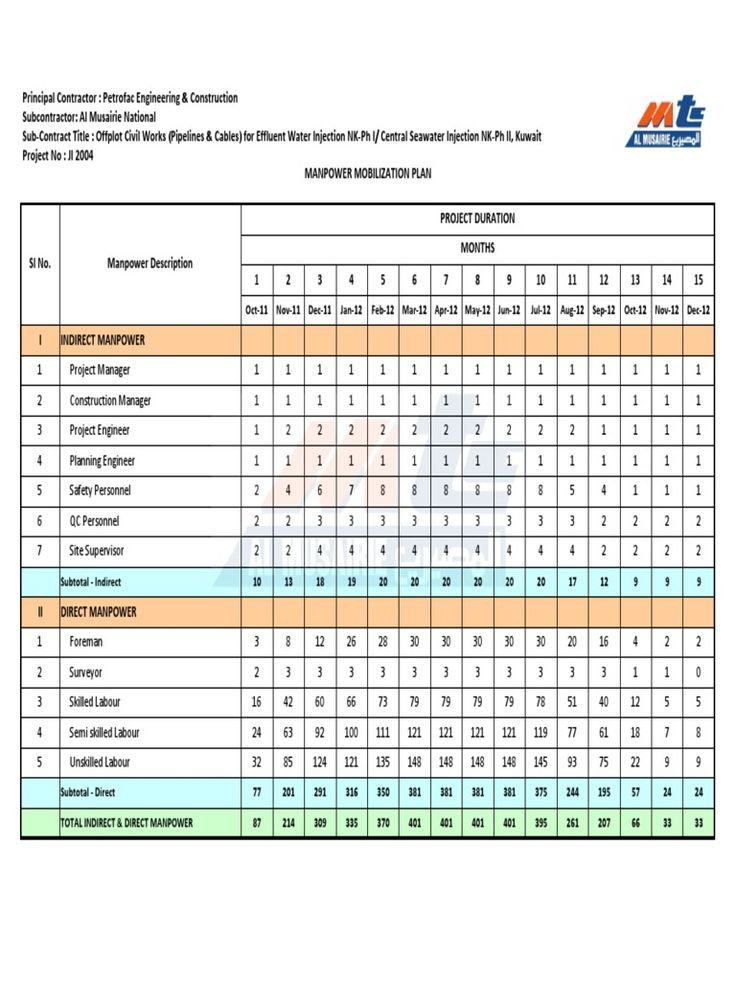 Manpower Mobilization Plan Action Plan Template How To 