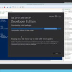 Microsoft SQL Server 2016 Developer Edition Installation