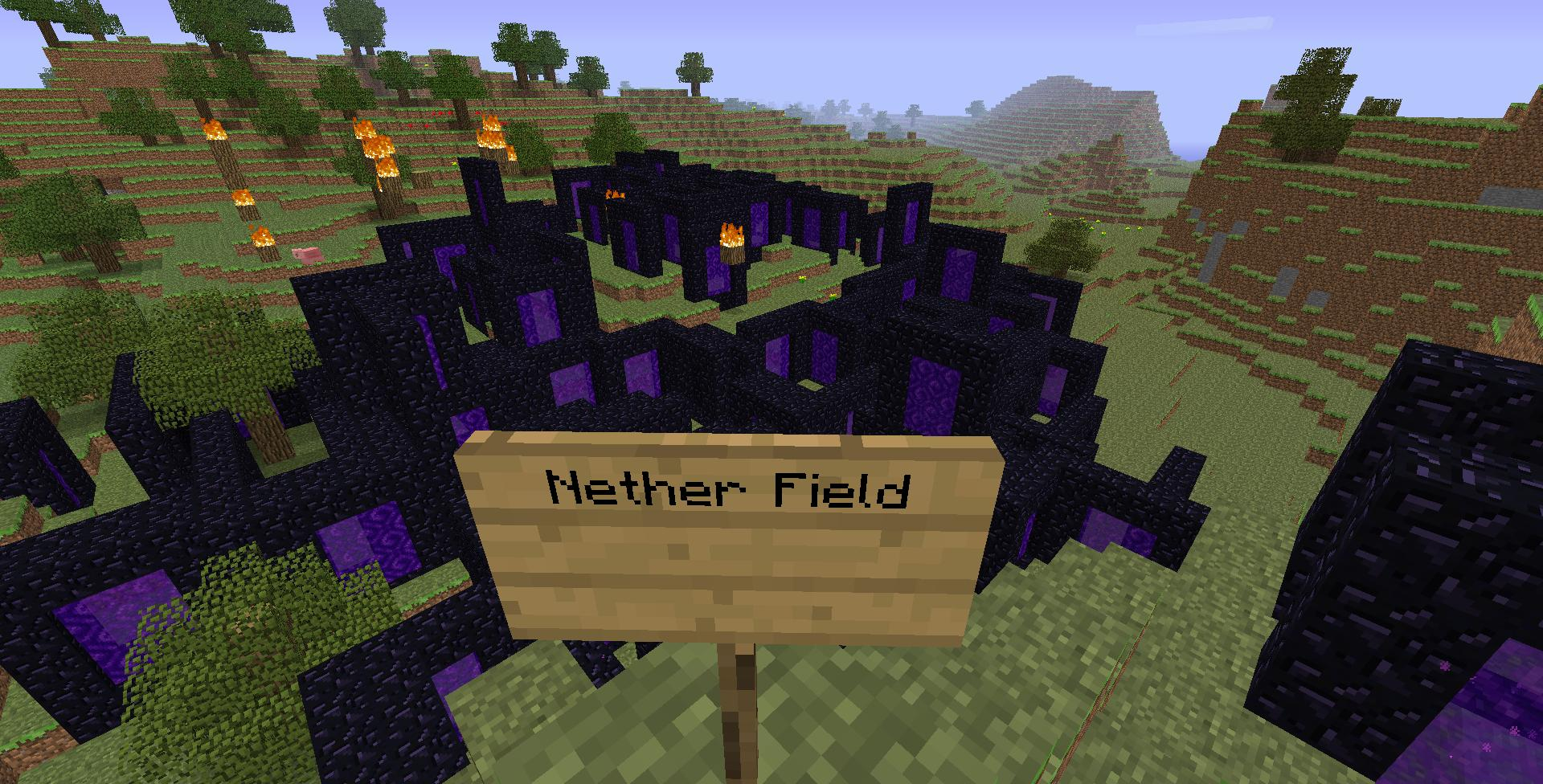 Nether Field Image Minecraft Mod DB